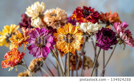7朵色彩凝固的乾燥花 134924288