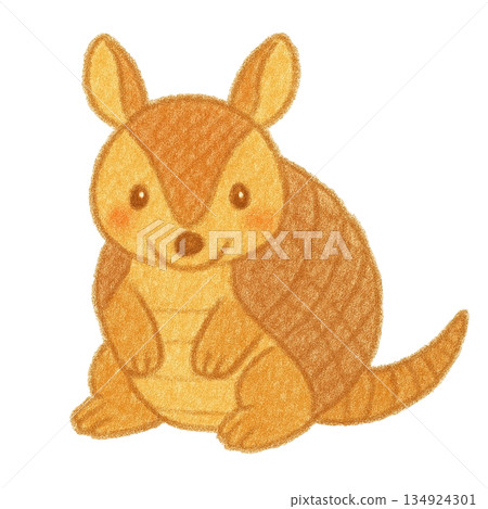 【動物】犰狳的色鉛筆插圖 【動物】犰狳的色鉛筆插圖 134924301