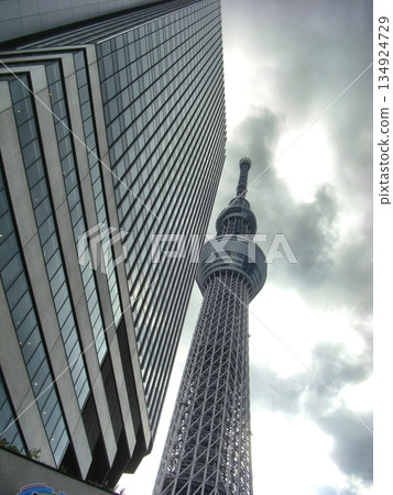 陰天的東京晴空塔 - 92 陰天的東京晴空塔 - 92 134924729
