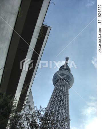 陰天的東京晴空塔-96 134924732