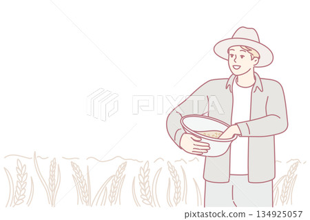 Agricultural worker collects ripe wheat, Rural scene showing farmer gathering golden grains peacefully 134925057