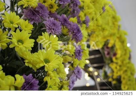 Variety plant decorate in landscaped garden,thailand Variety plant decorate in landscaped garden,thailand 134925625