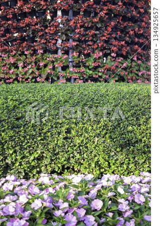 Green area relax outdoors garden with plants 134925657