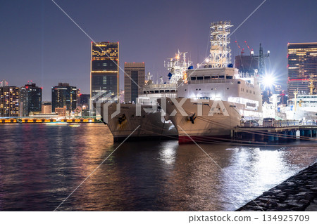 [Tokyo] Night view of Tokyo Bay Area/Harumi Pier Park 134925709