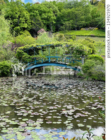 Reminiscent of Monet: Redhill Heather Forest, Water Lily Pond and Olive Bridge 134925970
