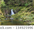 A small waterfall and clear stream flowing through a mossy valley: A tranquil forest landscape (Akame Valley, Nabari City, Mie Prefecture) 134925996