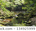 Fresh green forest and quiet mountain stream: Beautiful natural scenery with green reflected on the water surface (Akame Valley, Nabari City, Mie Prefecture) 2 134925999