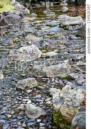 The scene of Maruyama Park in autumn in Kyoto, Japan. The public park in Kyoto with beautiful scene. Stunning nature scene with colorful trees and ponds. Travel and nature concept. Japan nature view. 134926167