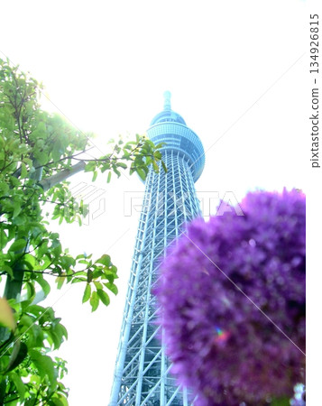 Tokyo Skytree on a cloudy day-67 Tokyo Skytree on a cloudy day-67 134926815
