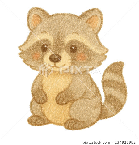 【動物】浣熊的色鉛筆插圖 134926992