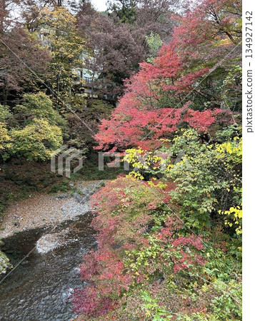 西多摩郡冰河谷奧多摩市 西多摩郡冰河谷奧多摩市 134927142