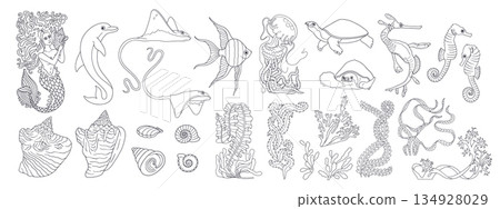 Black and white line art Ocean life and mermaid hand drawn vector illustration bundle. Sea animals and seaweed clipart big set Black and white line art Ocean life and mermaid hand drawn vector illustration bundle. Sea animals and seaweed clipart big set 134928029