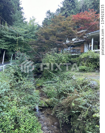 Kuroyama Three Waterfalls, Ogose Town, Iruma County 134928135