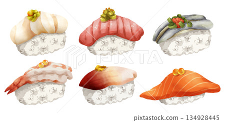 Premium realistic hand-drawn watercolor illustration set of traditional Japanese Nigiri sushi. Featuring scallop, fatty tuna, sardine, sweet shrimp, surf clam and salmon on rice. Transparency Premium realistic hand-drawn watercolor illustration set of traditional Japanese Nigiri sushi. Featuring scallop, fatty tuna, sardine, sweet shrimp, surf clam and salmon on rice. Transparency 134928445