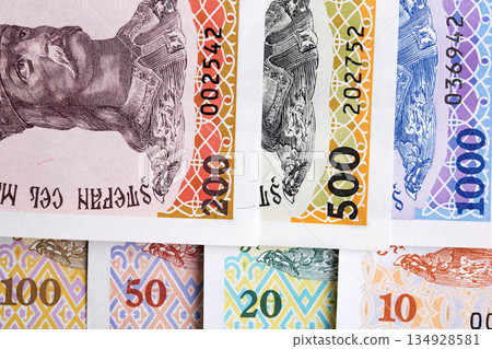 Moldovan Leu a business background 134928581