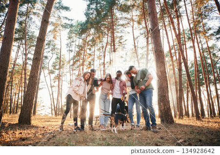 Standing, fun with dog. Group of friends are together in the forest 134928642