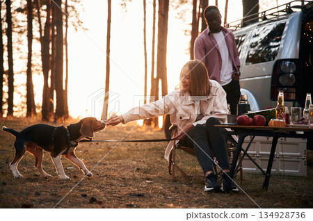 Man and woman are together in the forest with the dog near the car Man and woman are together in the forest with the dog near the car 134928736