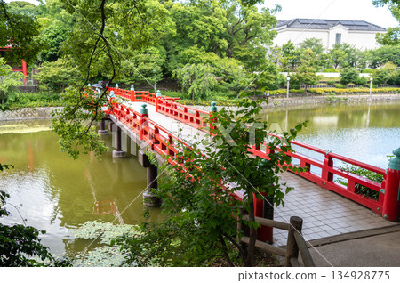 Red bridge over Kawazokoike pond in Tennoji Park, Osaka Red bridge over Kawazokoike pond in Tennoji Park, Osaka 134928775