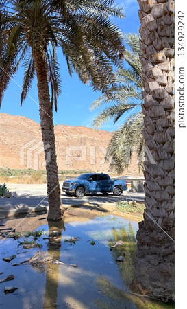 Serene Desert Stop, Calm Scene With Car And Desert Palms, Idle Vehicle Beside Oasis With Sunlight And Sandy Surroundings, Tranquil Roadside Landscape Showing Parked Car Near Palms Under Bright Sun Serene Desert Stop, Calm Scene With Car And Desert Palms, Idle Vehicle Beside Oasis With Sunlight And Sandy Surroundings, Tranquil Roadside Landscape Showing Parked Car Near Palms Under Bright Sun 134929242
