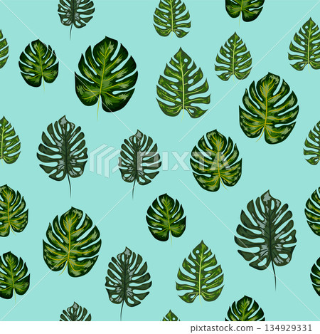 Monstera leaves vector tropical seamless pattern. Green botanical design with tropical monstera leaves 134929331