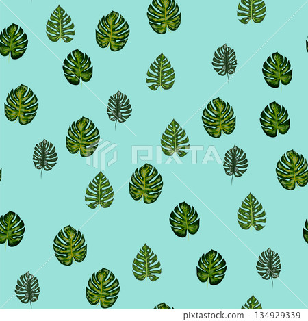 Monstera leaves vector tropical seamless pattern. Green botanical design with tropical monstera leaves 134929339