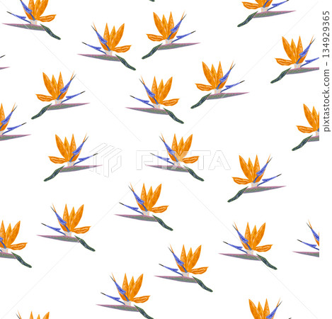 Orange Strelitzia flower pattern design with leaves and stem. Hawaiian beach vacation. Orange Strelitzia flower pattern design with leaves and stem. Hawaiian beach vacation. 134929365