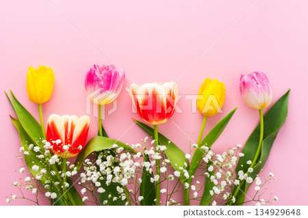 Spring background with tulips and gypsophila Spring background with tulips and gypsophila 134929648