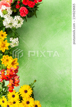 A beautiful array of spring flowers in various colors adorns a balcony, bringing life and brightness to the outdoor area. The flowers add joy and warmth to the setting 134929665