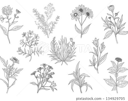 花束、花圈、花環 花束、花圈、花環 134929705