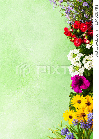 Beautiful spring flowers adorn a balcony, creating a cheerful atmosphere. The colorful blooms in various shades brighten the terrace, celebrating the arrival of warmer days Beautiful spring flowers adorn a balcony, creating a cheerful atmosphere. The colorful blooms in various shades brighten the terrace, celebrating the arrival of warmer days 134929792