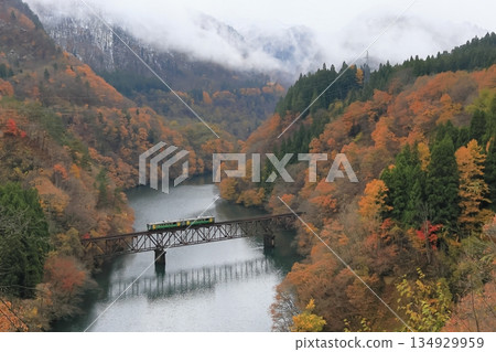 Tadami Line of autumn leaves and snow scene 134929959