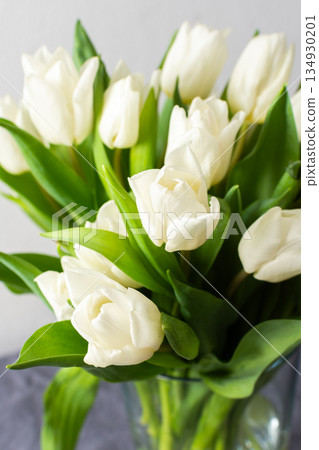 A beautiful spring bouquet of white tulips placed in a vase, brightening up a cozy home interior with natural light, creating a peaceful and elegant atmosphere A beautiful spring bouquet of white tulips placed in a vase, brightening up a cozy home interior with natural light, creating a peaceful and elegant atmosphere 134930201