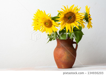 Bright sunflowers arranged in a brown clay vase are placed against a plain white background. The flowers display their yellow petals and green leaves Bright sunflowers arranged in a brown clay vase are placed against a plain white background. The flowers display their yellow petals and green leaves 134930203
