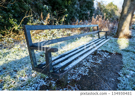 First snow, frozen bench in park, winter landscape First snow, frozen bench in park, winter landscape 134930481