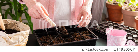 A man sows tomato seeds into a seed tray at home, surrounded by gardening tools and seed packets. He is engaged in spring garden preparation, nurturing plants from seed stage, banner A man sows tomato seeds into a seed tray at home, surrounded by gardening tools and seed packets. He is engaged in spring garden preparation, nurturing plants from seed stage, banner 134930567