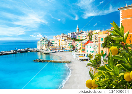 View of Bogliasco. Bogliasco is a ancient fishing village in Italy, Genoa, Liguria View of Bogliasco. Bogliasco is a ancient fishing village in Italy, Genoa, Liguria 134930624