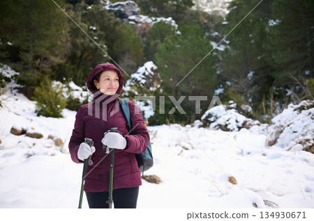 Woman Hiking In Snowy Forest With Walking Poles On Winter Trail Woman Hiking In Snowy Forest With Walking Poles On Winter Trail 134930671
