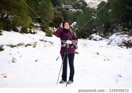 Woman Hiking In Snowy Forest With Trekking Poles In Winter Landscape Woman Hiking In Snowy Forest With Trekking Poles In Winter Landscape 134930672