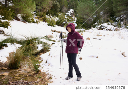 Hiker In Maroon Jacket With Trekking Poles Walking Through Snowy Forest Trail 134930676