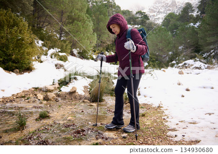 Woman Hiking With Poles Through Snowy Forest Trail In Winter Gear 134930680