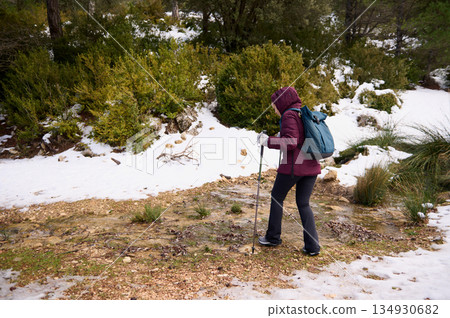 Hiker With Backpack Trekking Through Snowy Trail In Forest Landscape For Winter Adventure 134930682