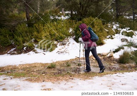 Woman Hiker With Poles On Snowy Forest Trail In Cold Weather Adventure 134930683
