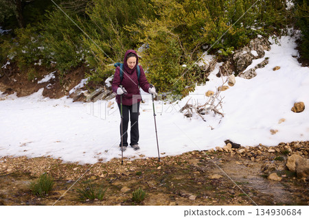 Woman Hiking With Poles On Snowy Forest Trail During Winter Trek Outdoors 134930684