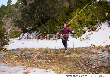 Woman Hiking With Poles Through Snowy Forest Trail During Winter Nature Walk 134930685