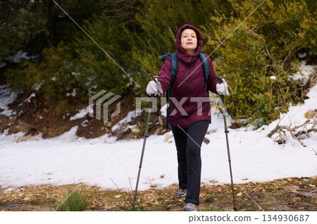Woman Hiking With Trekking Poles In Snow, Burgundy Jacket And Backpack In Forest 134930687