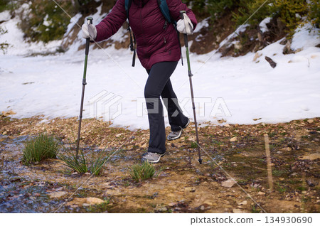 Hiker Crossing Snowy Trail With Trekking Poles In Forest Terrain During Winter 134930690