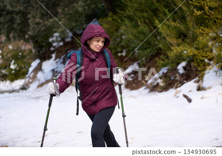 Woman Hiking In Snow With Trekking Poles In Winter Forest Woman Hiking In Snow With Trekking Poles In Winter Forest 134930695