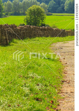 Countryside view of green field. Nature landscape 134930904