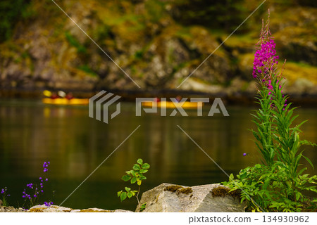 Fjord shore and people kayaking Fjord shore and people kayaking 134930962