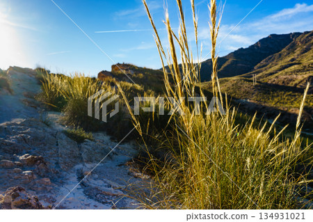 Grass against mountains landscape 134931021